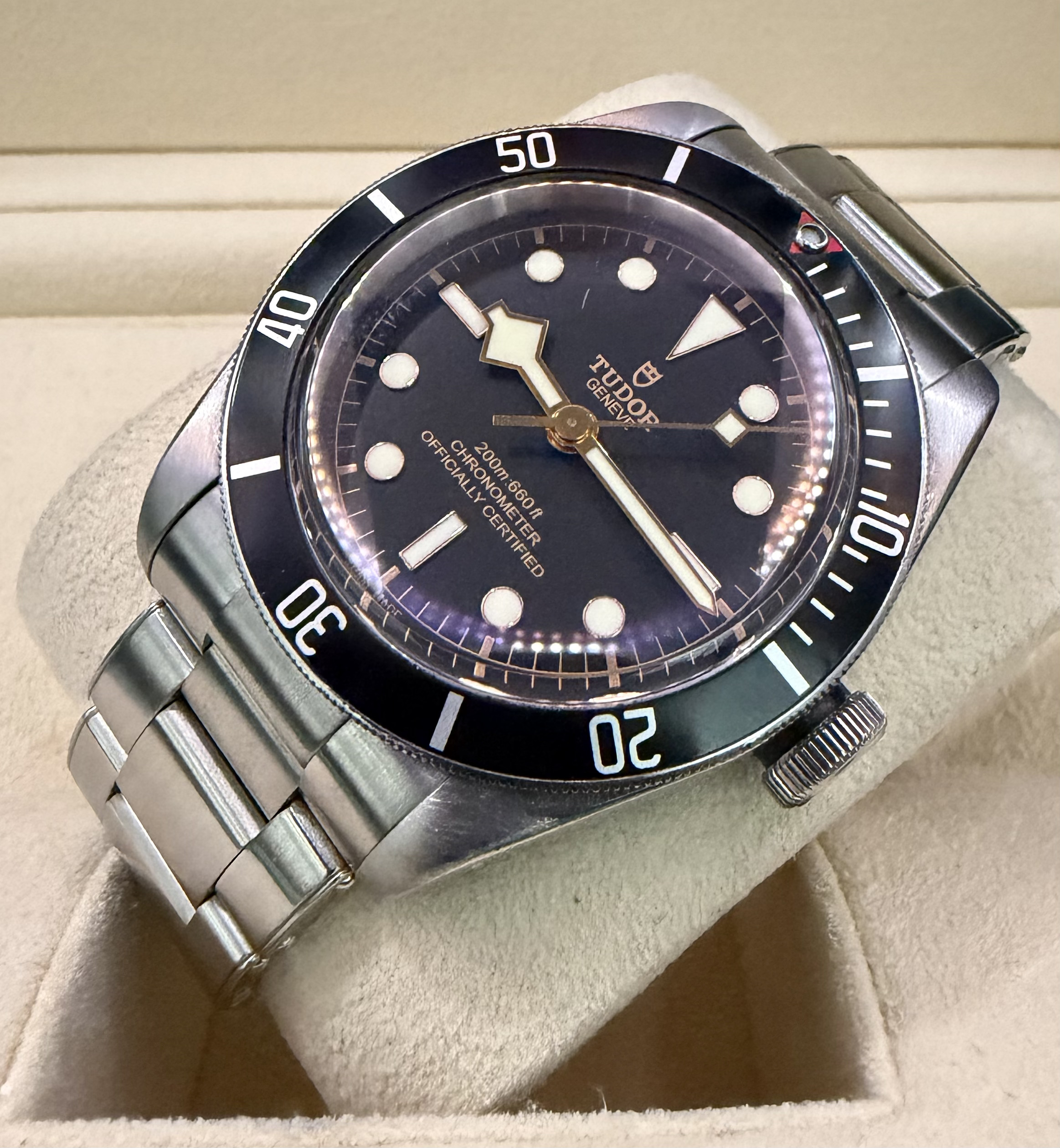 Tudor Black Bay - Réf. 79230N