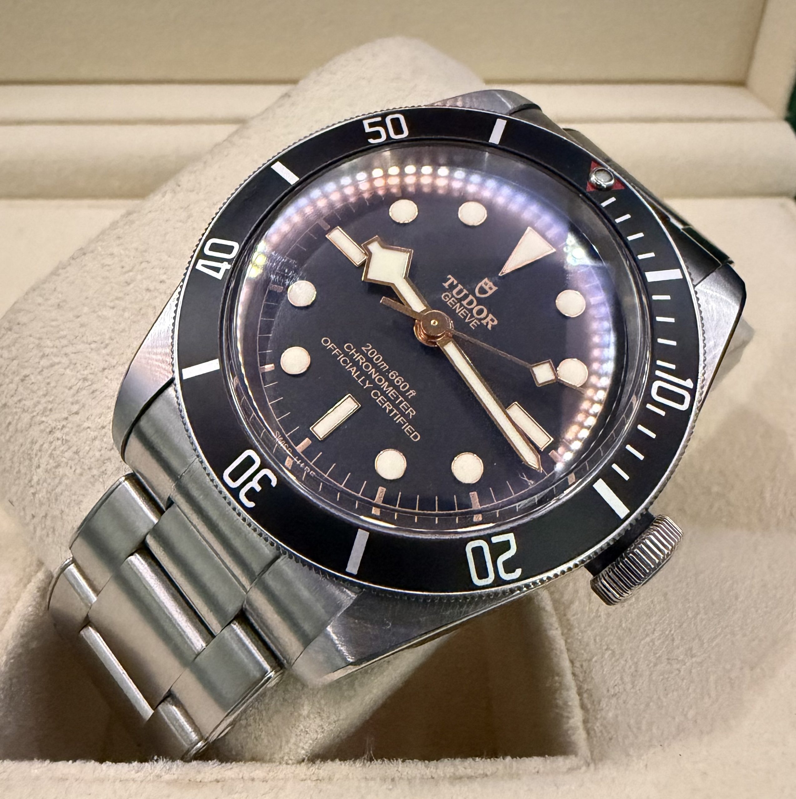 Tudor Black Bay - Réf. 79230N